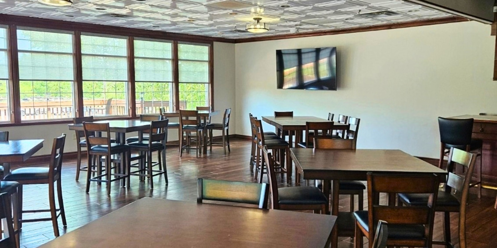 pub_opt1
